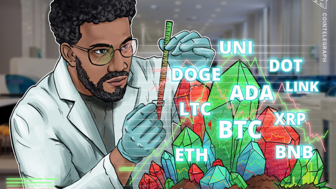 BTC, ETH, BNB, XRP, ADA, DOT, UNI, LTC, DOGE, LINK