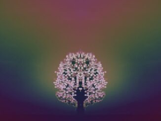 Web 3 Is a Return to the Internet’s Wild Spirit