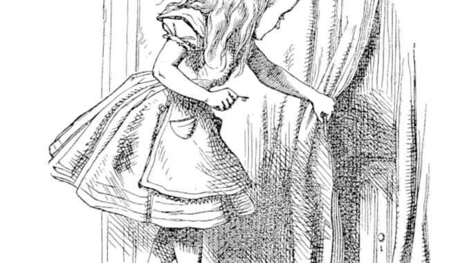 Wonderland's (and DeFi's) Anonymity Problem