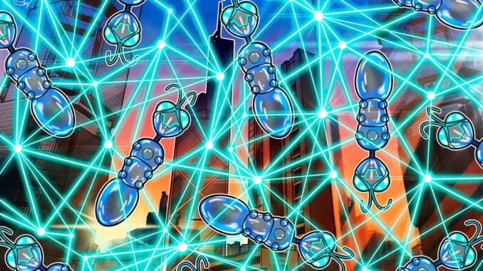 Web3 developer growth hits an all-time high as ecosystem matures