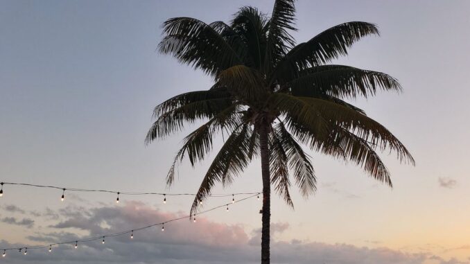 Bahamas to Allow Citizens to Pay Taxes With Digital Assets