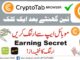 Crypto Tab Browser Earning in Pakistan || Cryptotab Mining || Cryptocurrency Mining || Crypto Mining