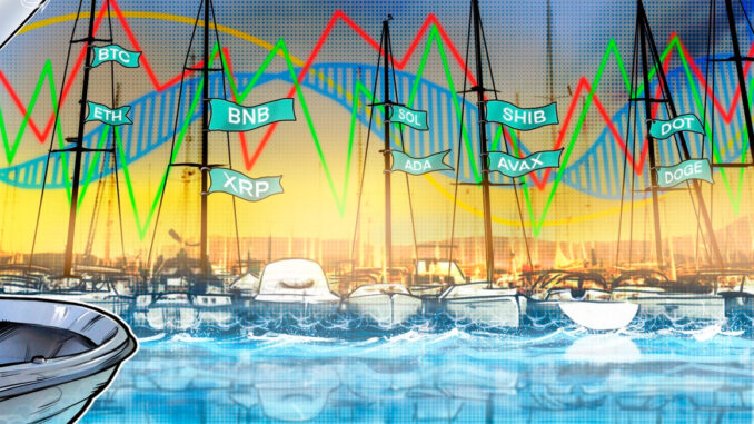 BTC, ETH, BNB, XRP, ADA, SOL, DOGE, DOT, SHIB, AVAX