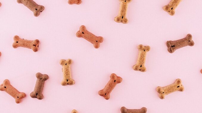 Dogecoin Led the Pack Among Cryptocurrencies in October With 17 Times Bitcoin's Gains