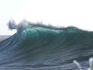 Waves Blockchain Founder Asks Exchanges to Delist WAVES Token Derivative Trading