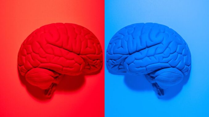 Bitcoin Community Erupts in Existential Debate Over NFT Project Ordinals