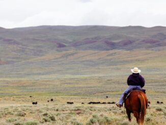 Tyler Spalding, CEO / Co-Founder, Flexa, 2Chainz and Zack Seward, Deputy Editor-in-Chief, CoinDesk