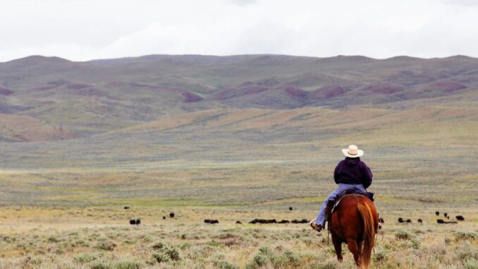 Tyler Spalding, CEO / Co-Founder, Flexa, 2Chainz and Zack Seward, Deputy Editor-in-Chief, CoinDesk